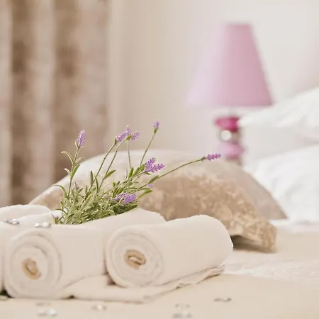 Satureja Montana 斯普利特